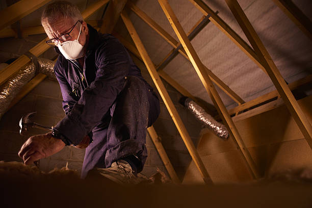 Best Geographic-Specific Insulation Services in Hauppauge, NY